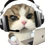 yyf的头像-小小亚菲